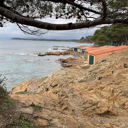 T2 Climatise A L'Ile D'Or Avec Piscine Pres De La Plage Apartment La Londe-les-Maures ภายนอก รูปภาพ