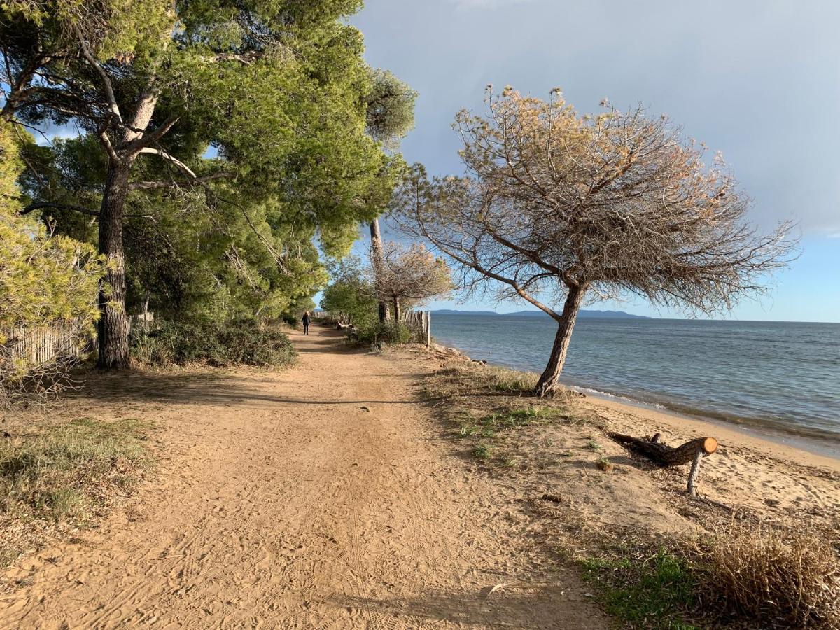 T2 Climatise A L'Ile D'Or Avec Piscine Pres De La Plage La Londe-les-Maures ภายนอก รูปภาพ